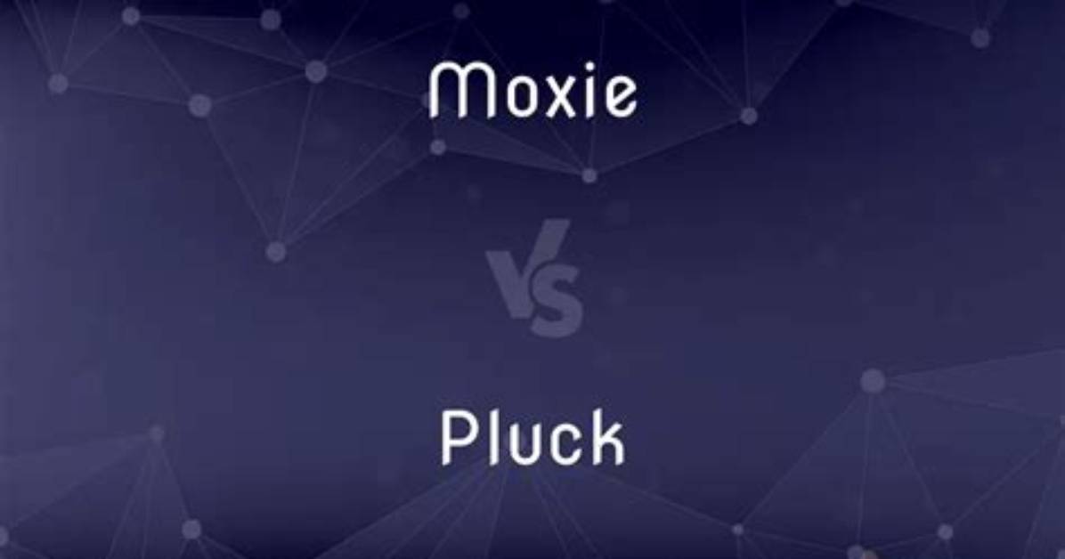 What Is the Difference Between Pluck and Collect in Rails?