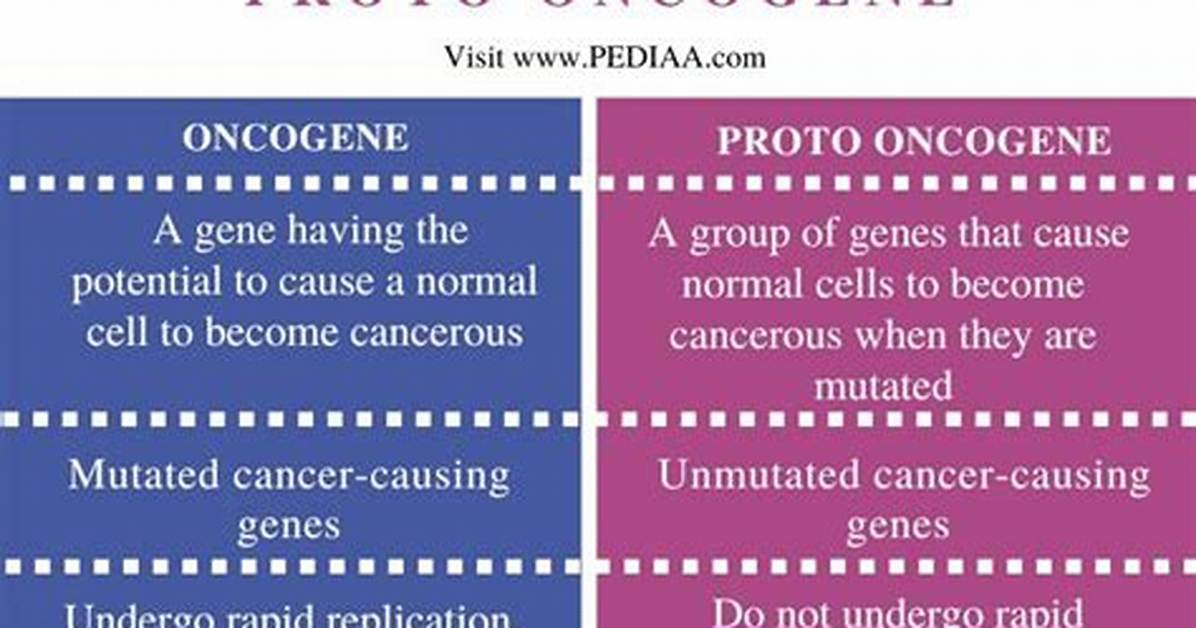What Is the Difference Between Proto Oncogene and Oncogene