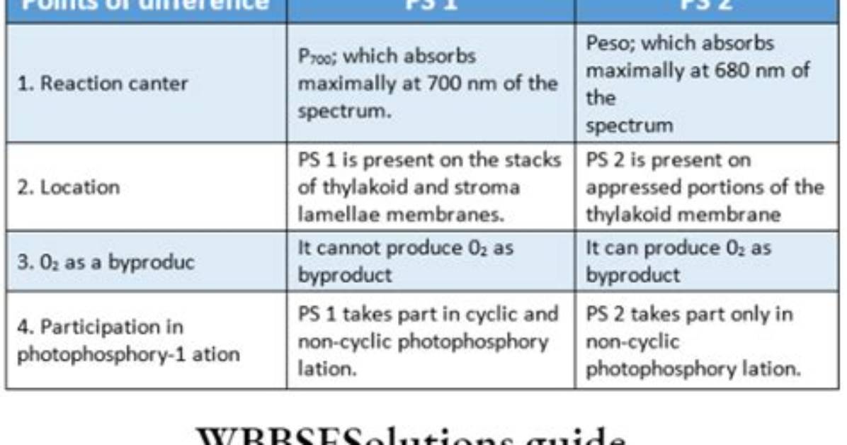 What Is the Difference Between Ps and Ps -E Command in Linux
