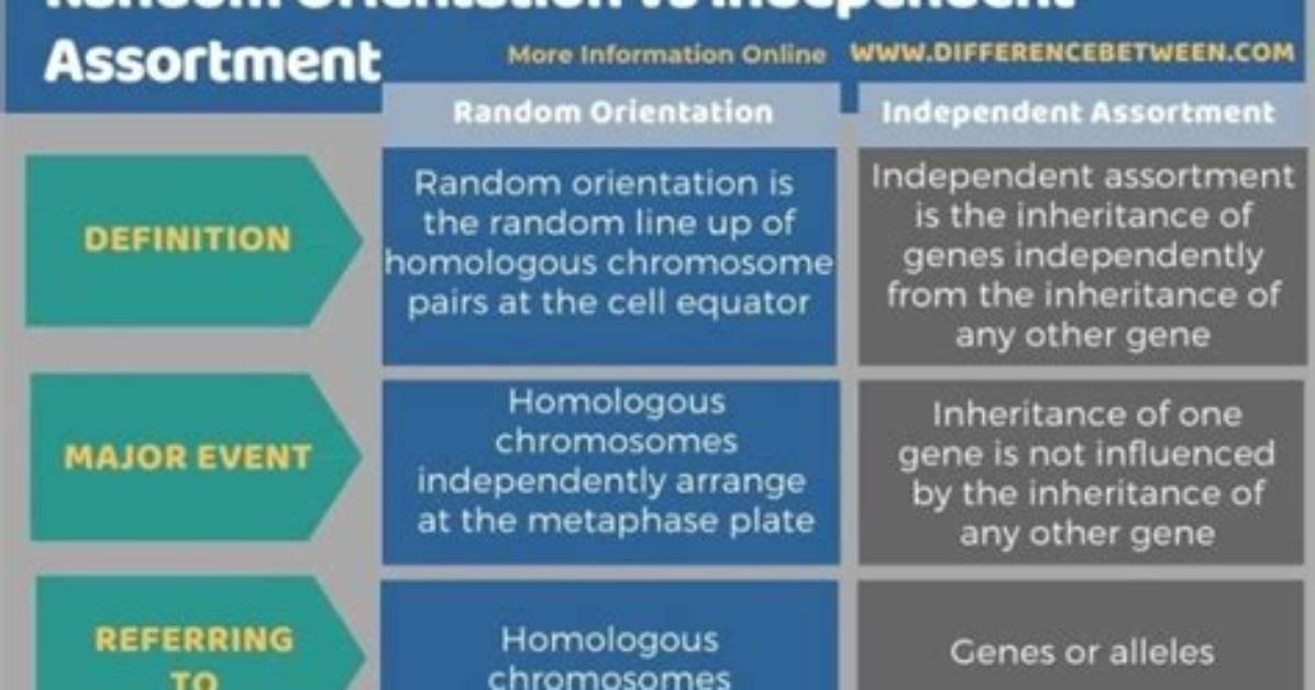 What Is the Difference Between Random and Nonrandom Sampling?
