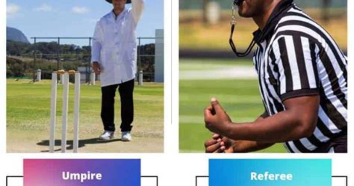 What Is the Difference Between Referee and Reference?
