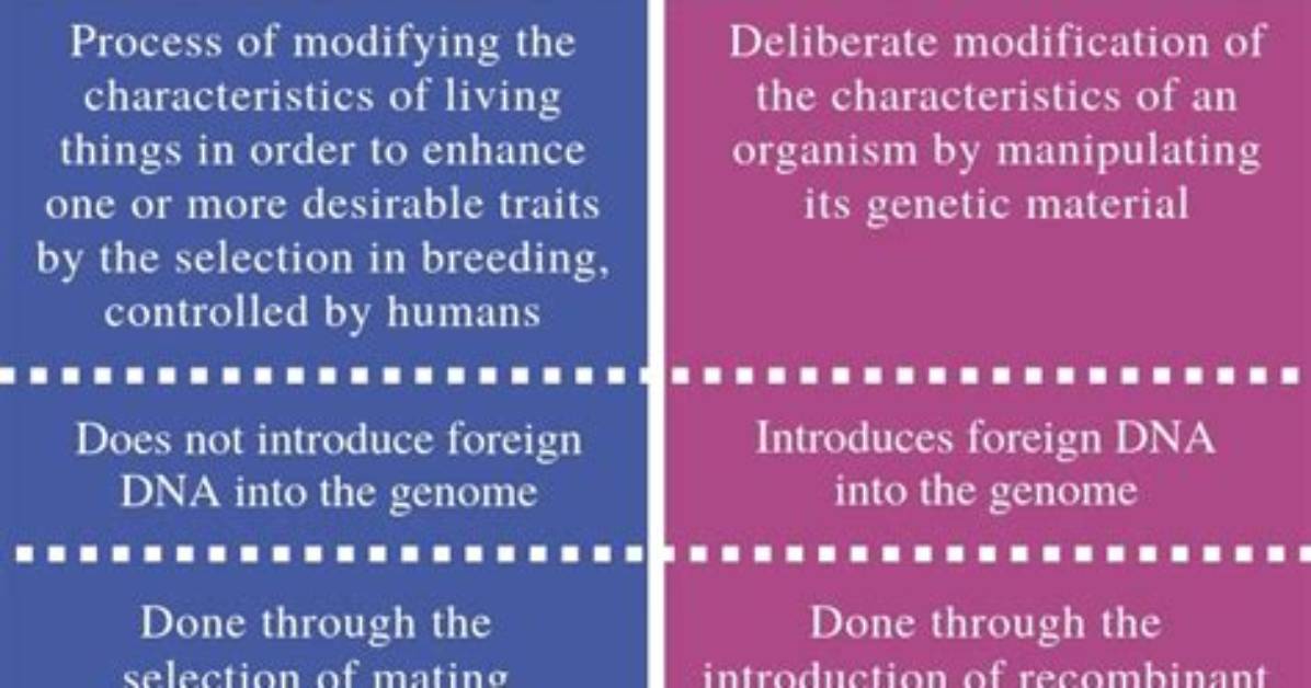 What Is the Difference Between Selective Breeding and Natural Selection