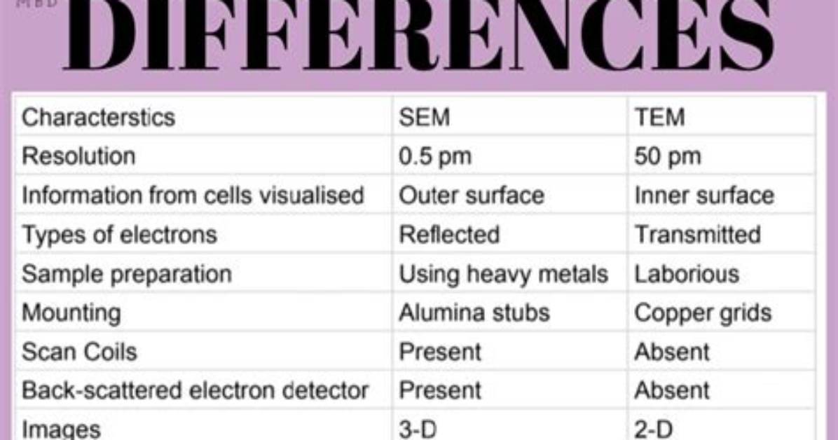 What Is the Difference Between Sems and Nims?