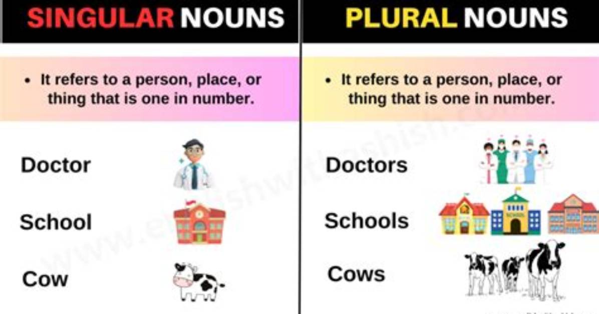 What Is the Difference Between Singular and Plural