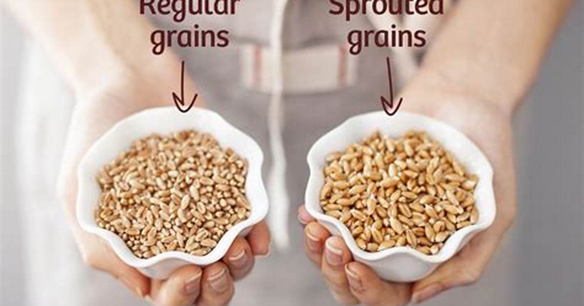 What Is the Difference Between Sprouted Bread and Regular Bread