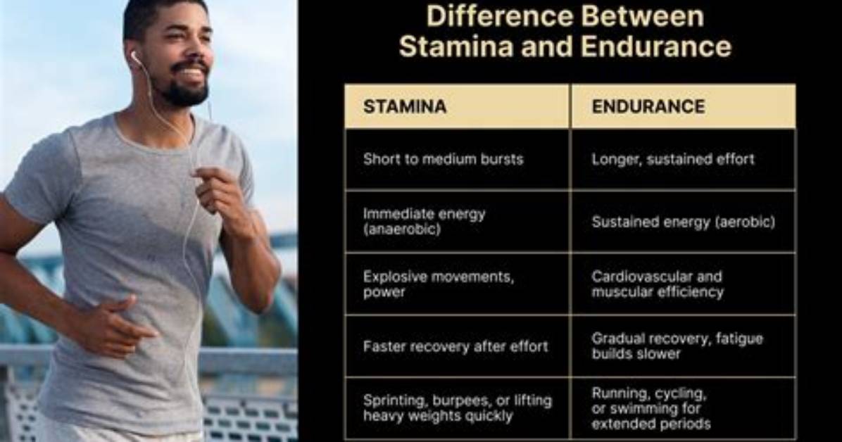 What Is the Difference Between Stamina and Endurance?
