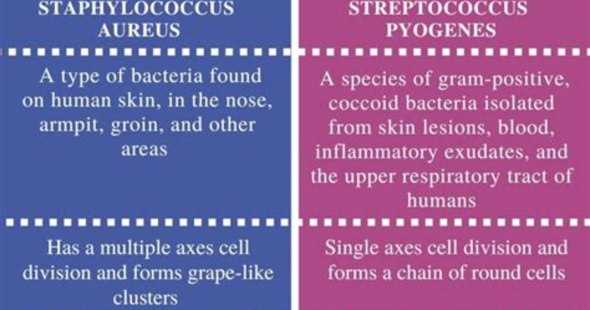 What Is the Difference Between Staphylococcus Aureus and Staphylococcus Saprophyticus?