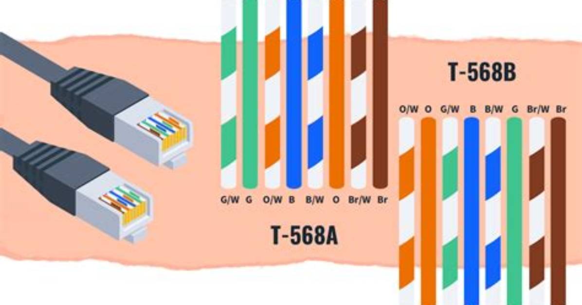 What Is the Difference Between T568A and B