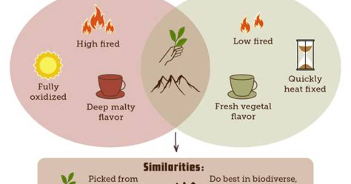 What Is the Difference Between Tea and Iced Tea