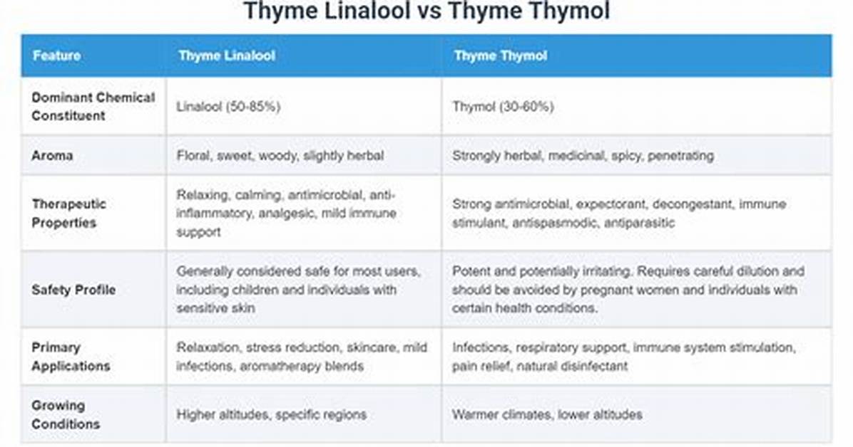 What Is the Difference Between Thyme Linalool and Thyme Thymol?