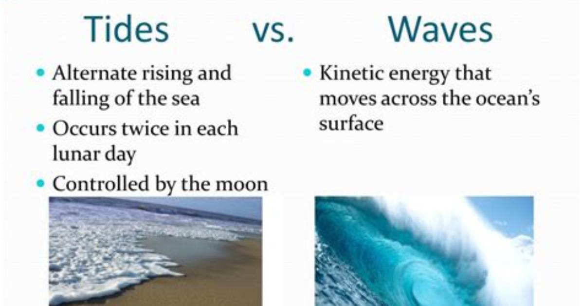 What Is the Difference Between Tides and Waves