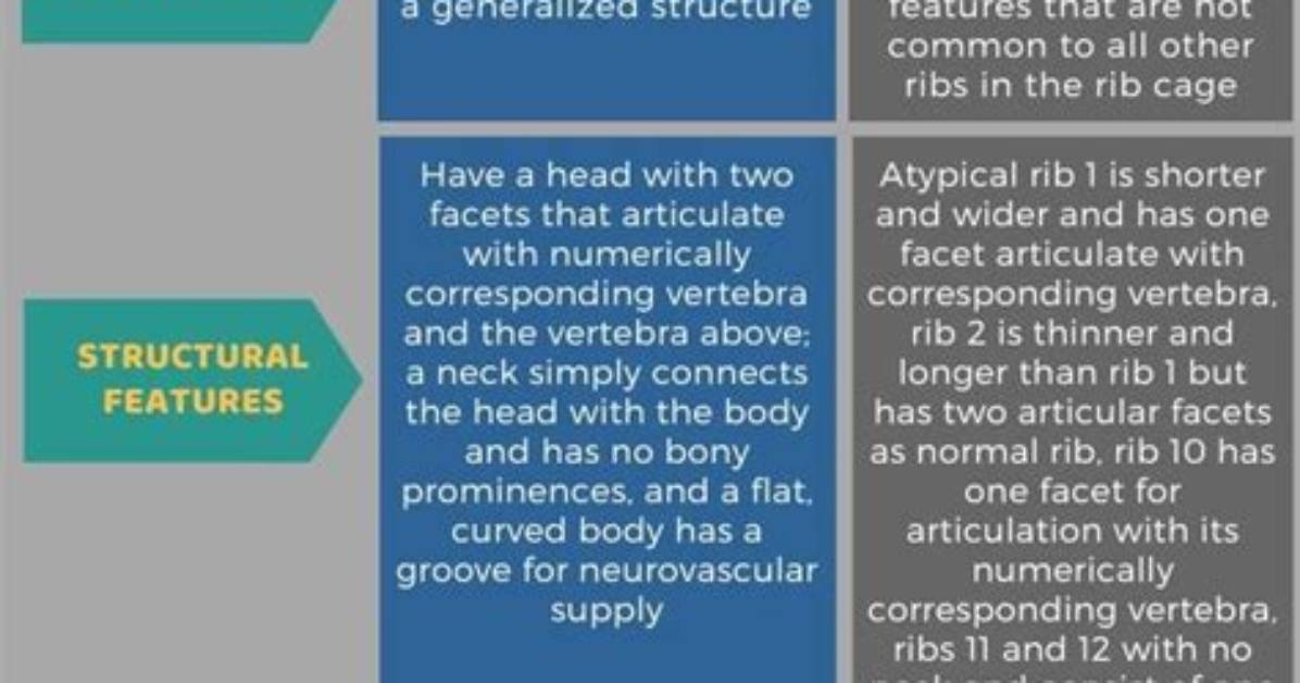 What Is the Difference Between Typical and Nontypical Buck?