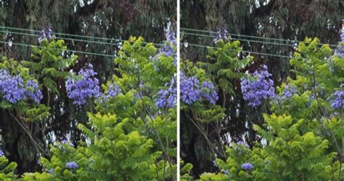 What Is the Difference Between Uv Filter and Polarizing Filter?