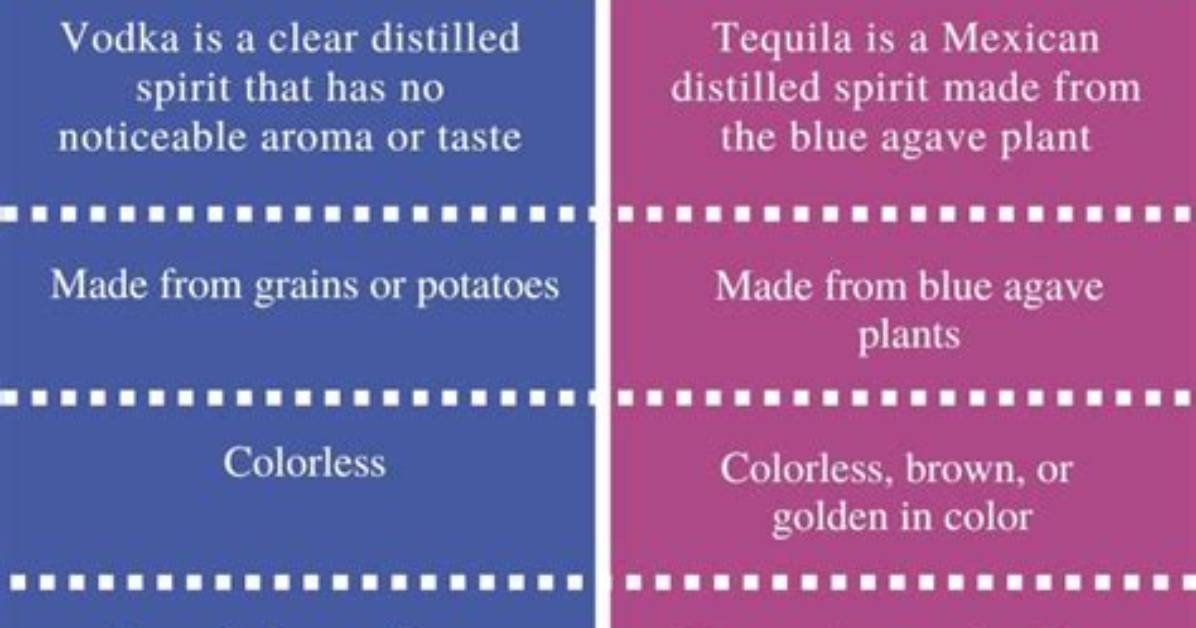 What Is the Difference Between Vodka and Grain Alcohol?
