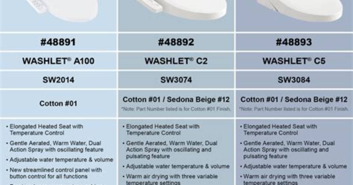 What Is the Difference Between Washlet and Bidet?