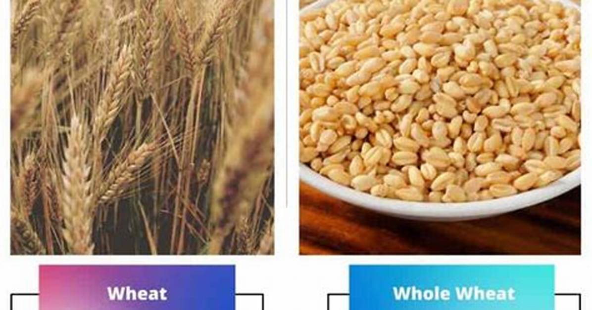 What Is the Difference Between Wheat and Gluten Intolerance