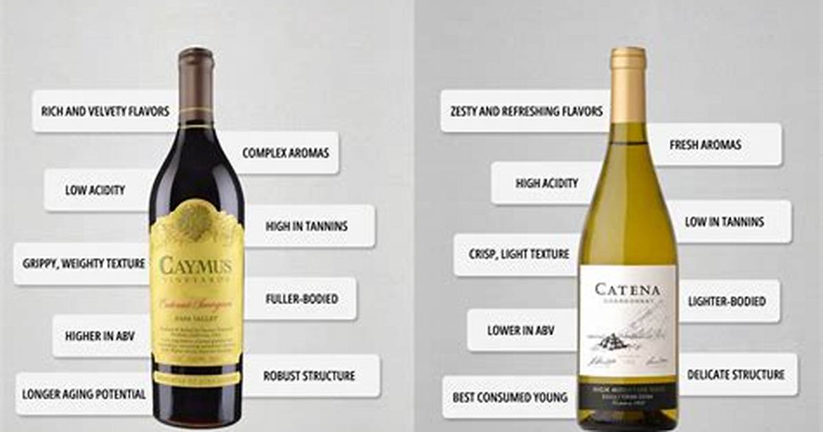 What Is the Difference Between White Wine and Red Wine Glasses?