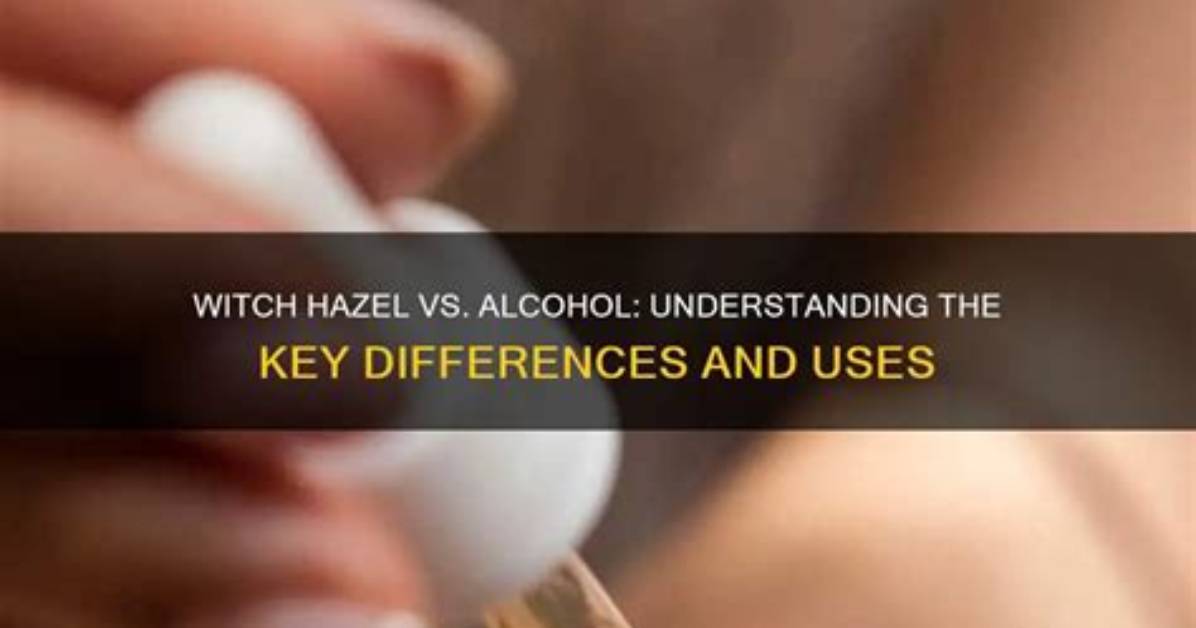 What Is the Difference Between Witch Hazel and Witch Hazel Extract