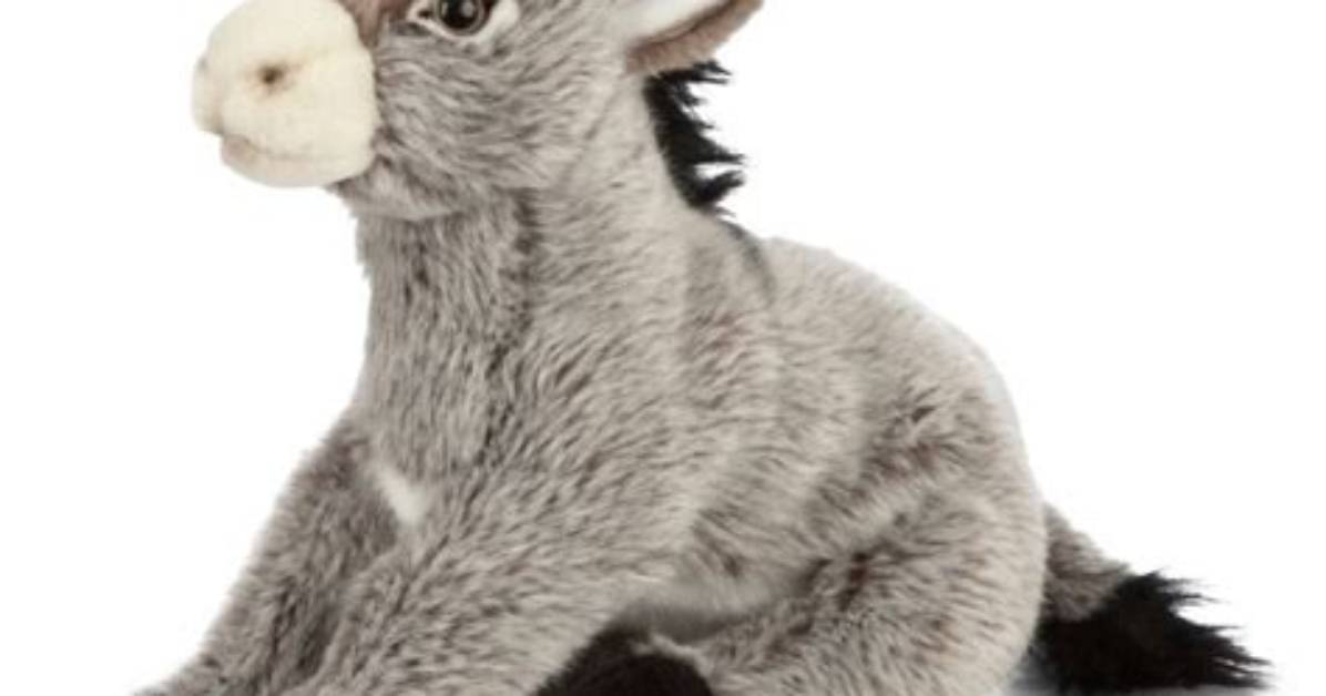 What Is the Donkey Called in Toy Story? – Celebrity