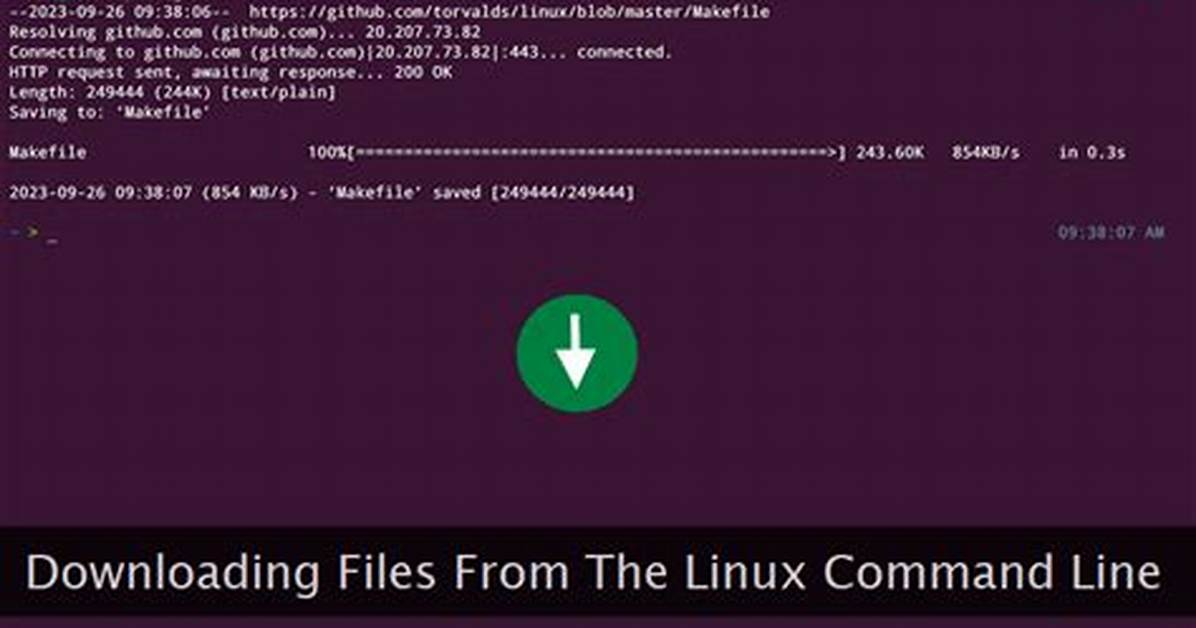 What Is the Download Command in Linux?
