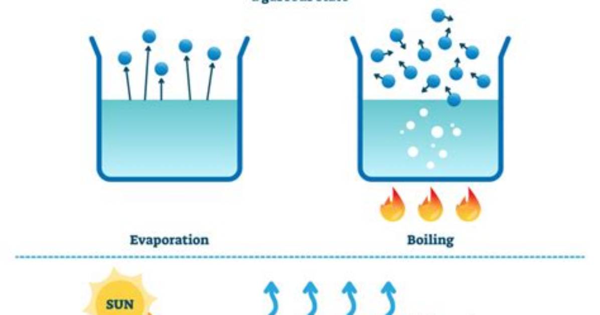 What Is the Evaporation Process