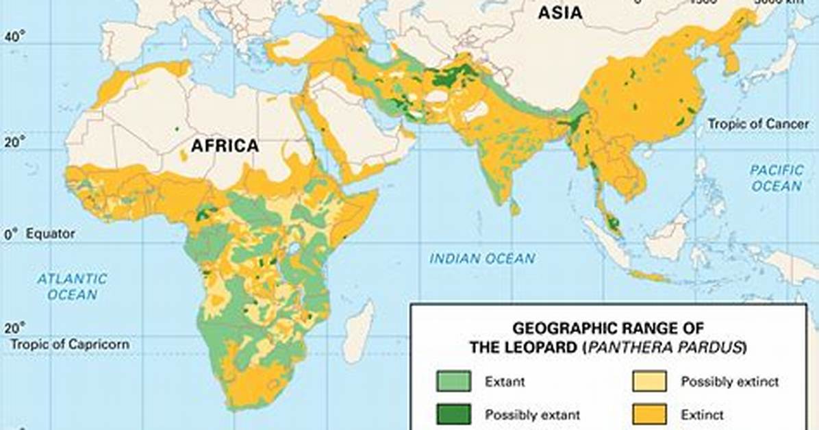 What Is the Geographic Distribution of the Northwestern Coniferous Forest
