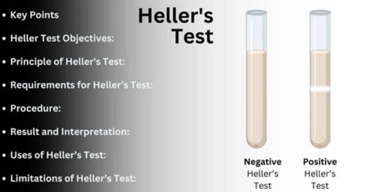 What Is the Heller Test?