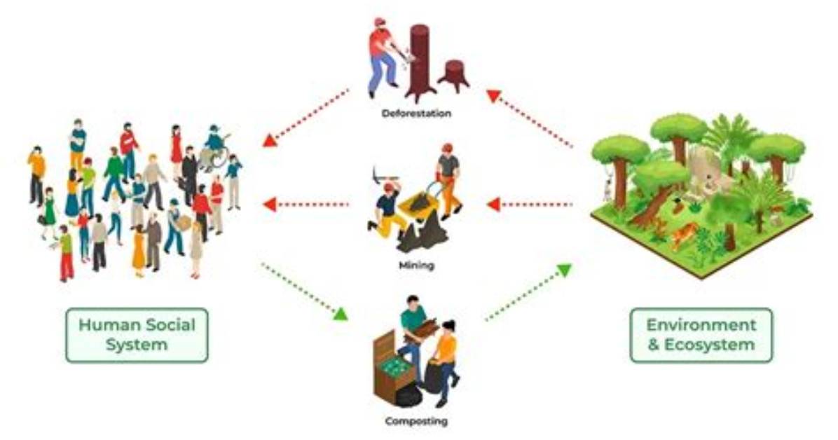 What Is the Human Environment Interaction