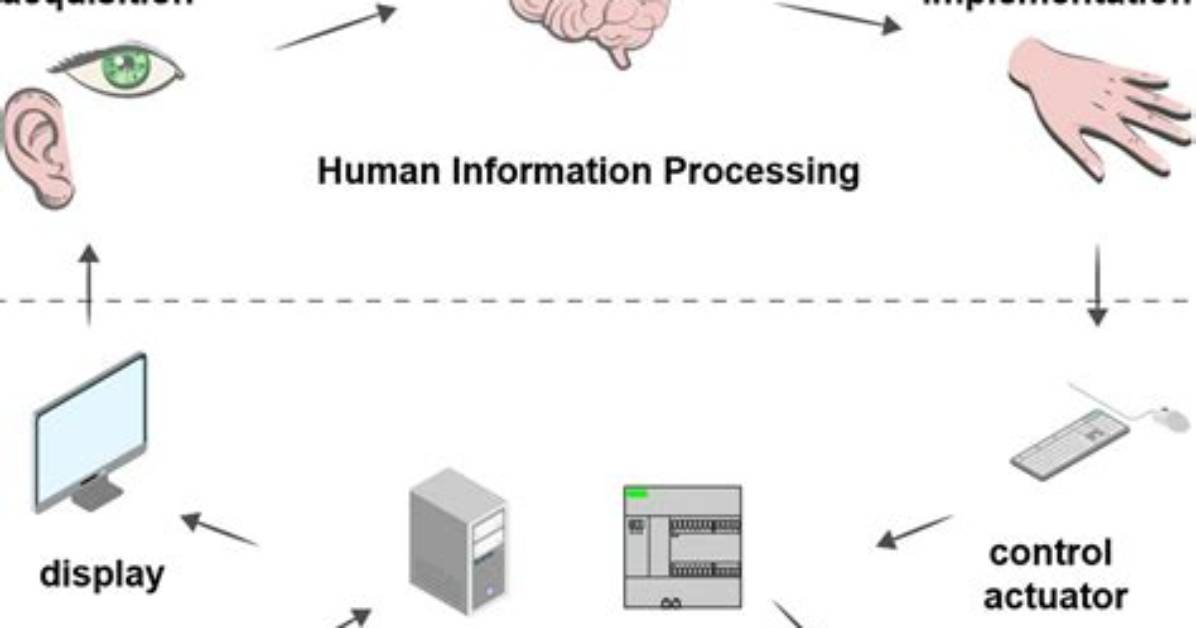 What Is the Human Information Processing System