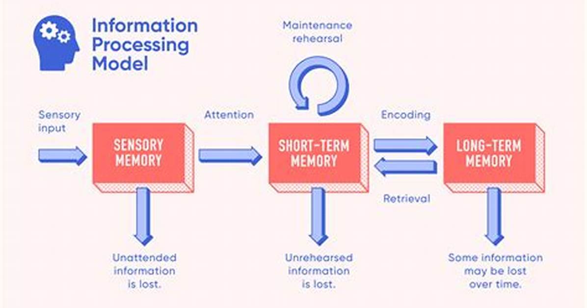 What Is the Information Processing Approach
