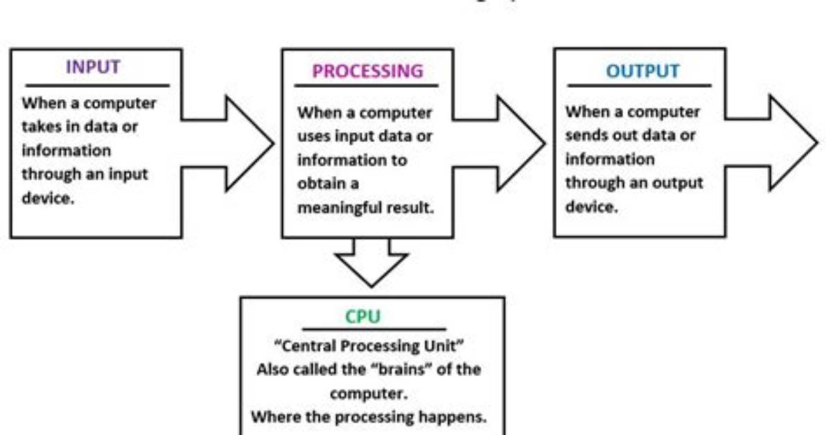 What Is the Information Processing Cycle