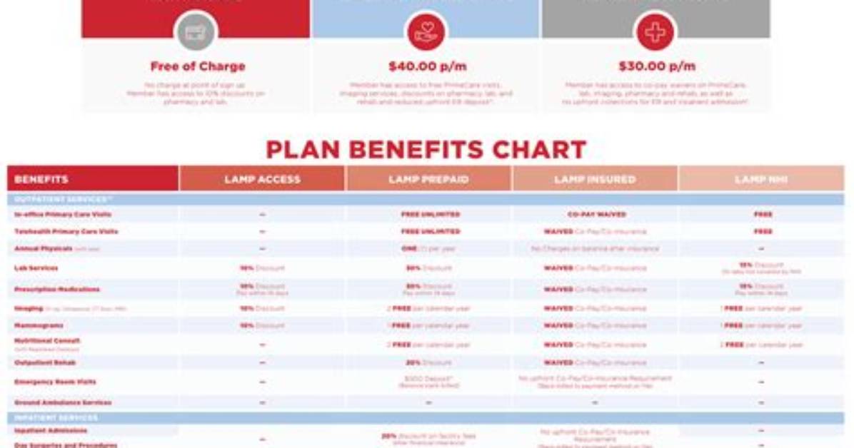 What Is the Lamp Program