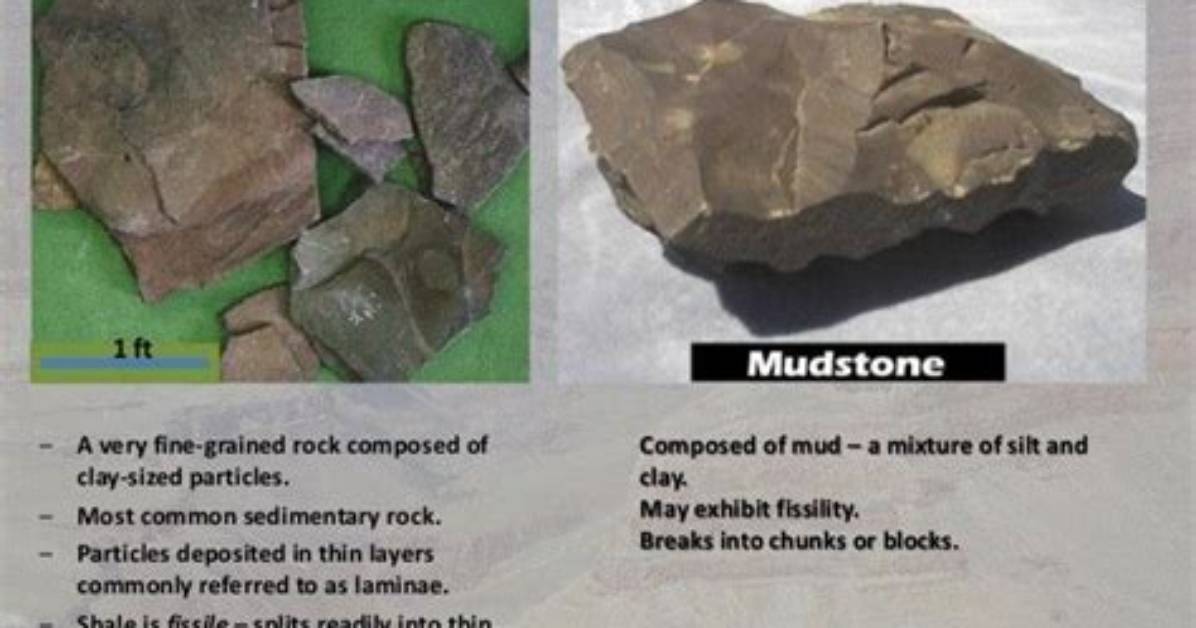What Is the Main Difference Between Shale and Claystone?