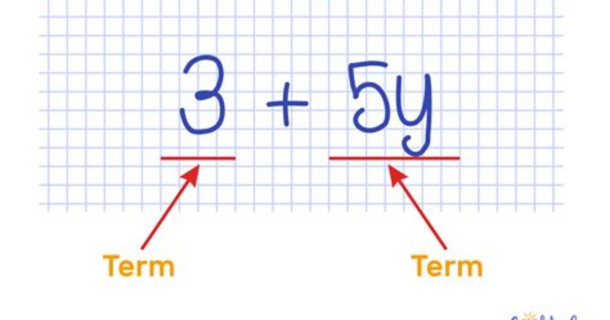 What Is the Math Term For