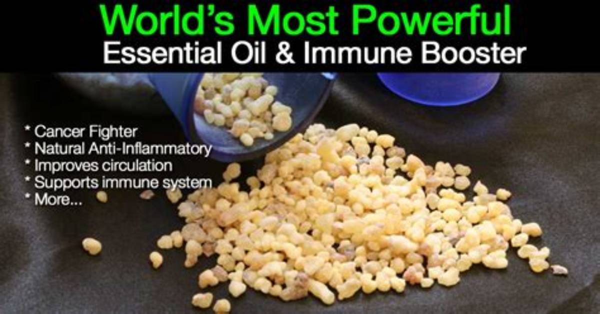 What Is the Most Powerful Immune Booster?
