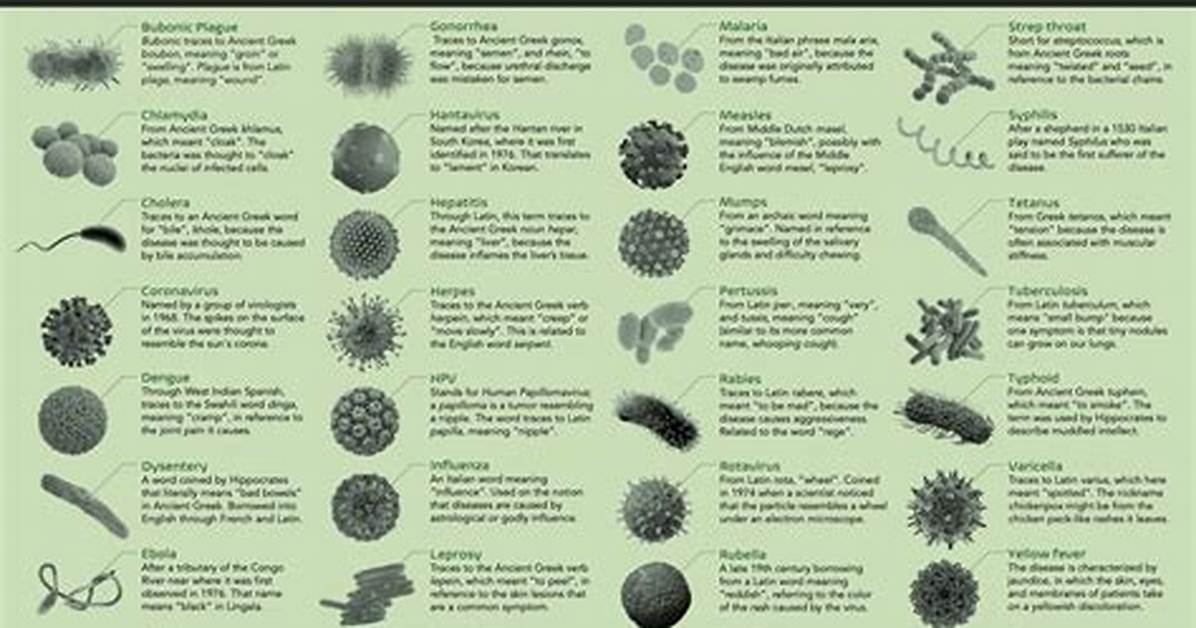 What Is the Name of Infectious Disease