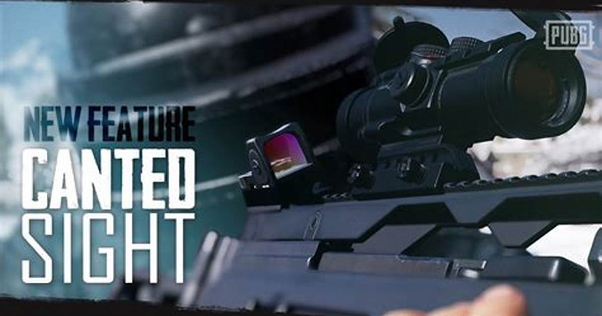 What Is the New Canted Sight in Pubg and How to Use It?