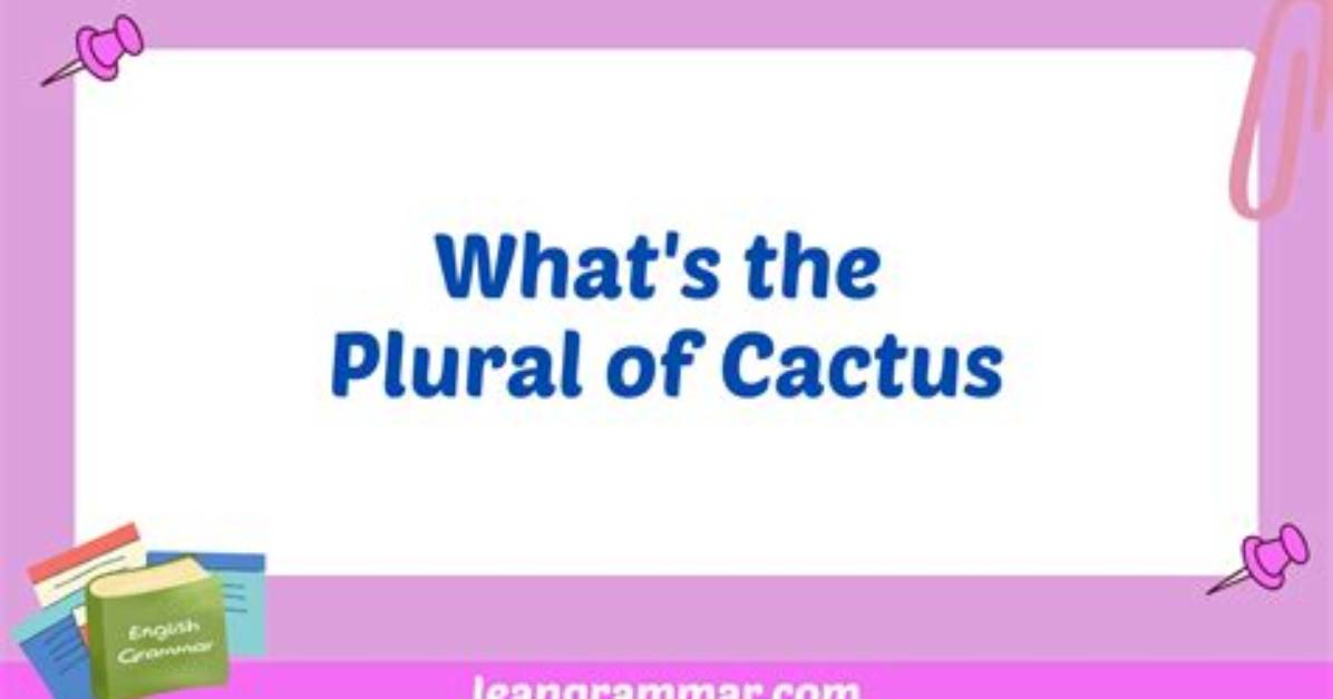 What Is the Plural Form of Cactus