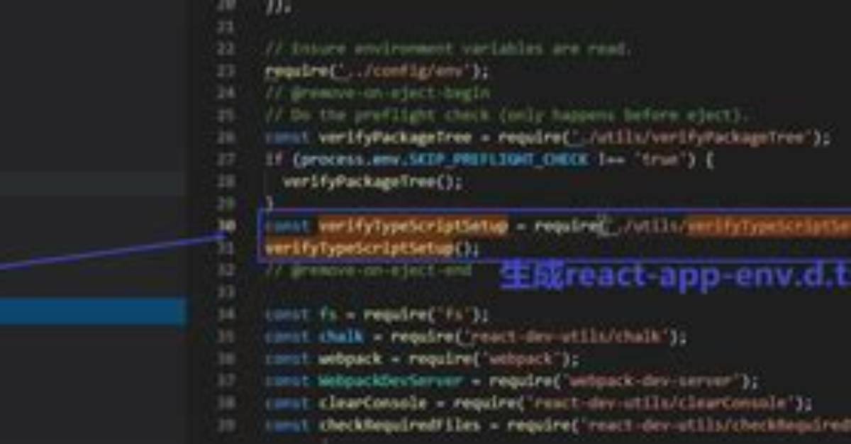 What Is the React-App-Env. D. Ts in a React Typescript Project For