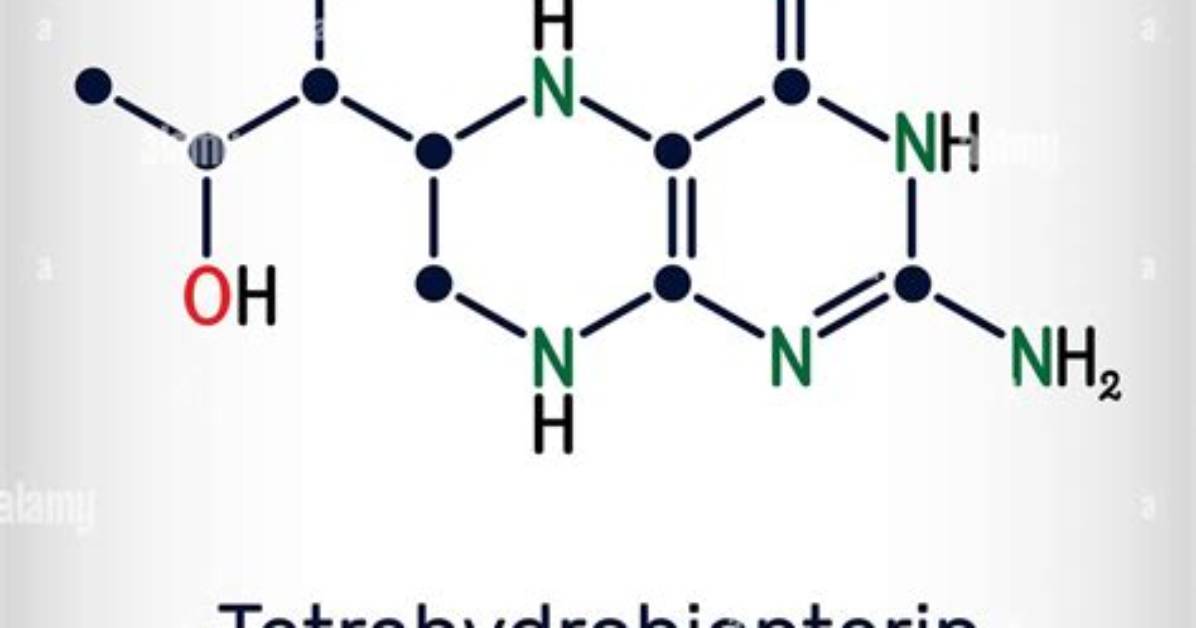 What Is the Role of Tetrahydrobiopterin