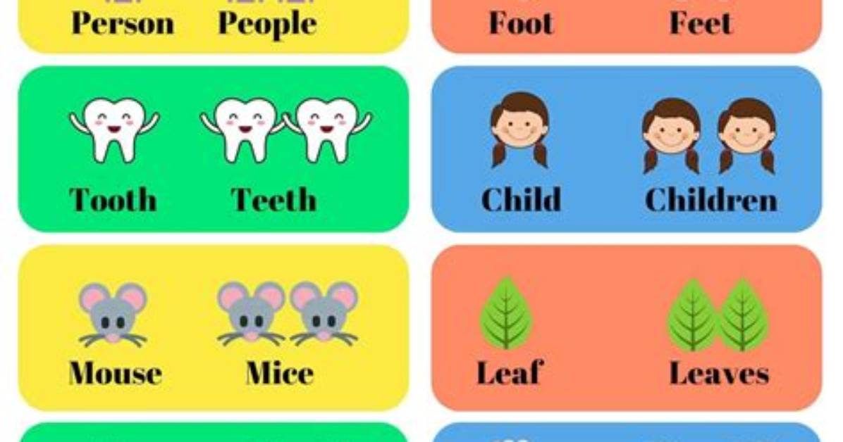 What Is the Rule for Irregular Plurals?