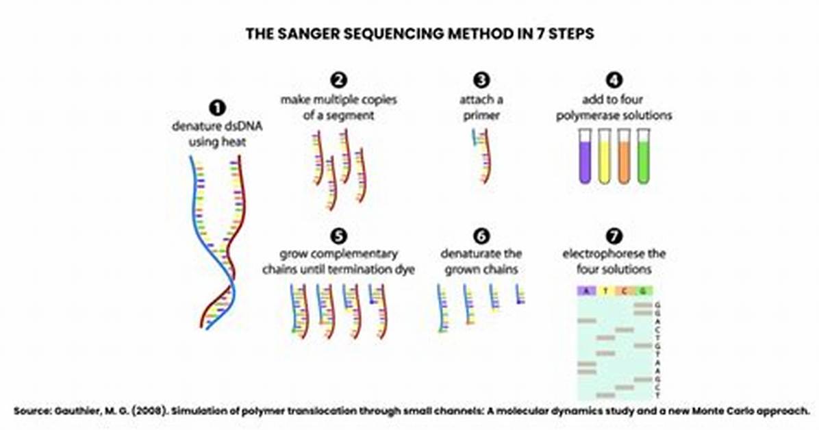 What Is the Sanger Method?