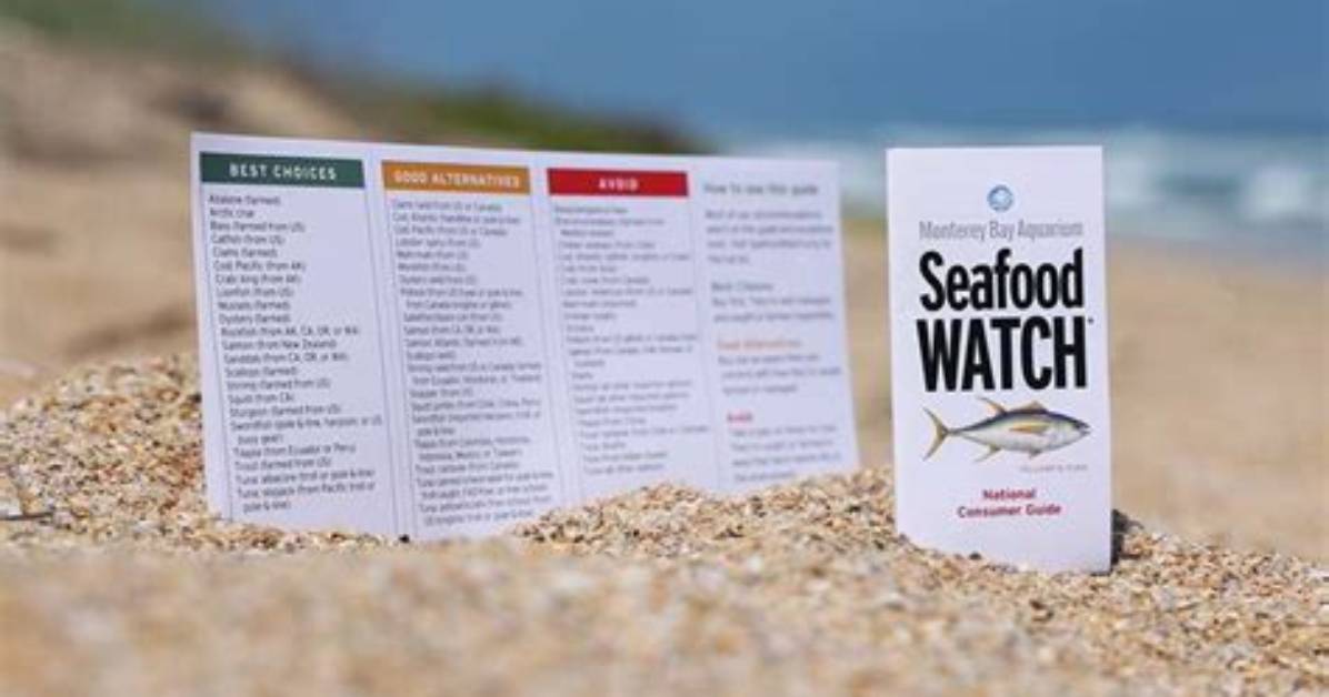 What Is the Seafood Watch Program