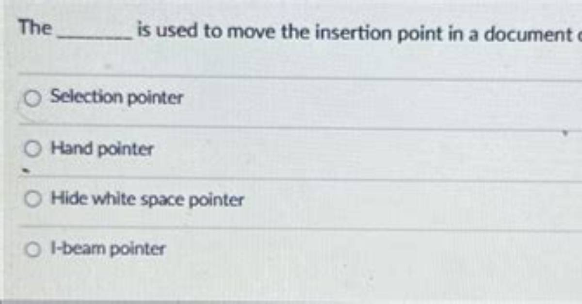 What Is the Selection Pointer and Insertion Point?