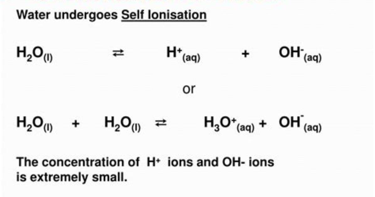 What Is the Self Ionization Equation for Water