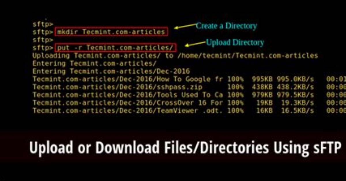 What Is the Sftp Command in Linux?
