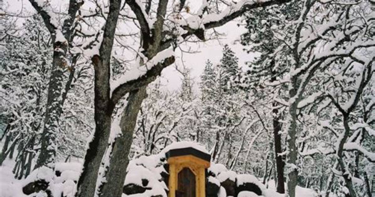 What Is the Sky Cave Darkness Retreats in Oregon Where Aaron Rodgers Went, Its Cost, Owner and Inside It