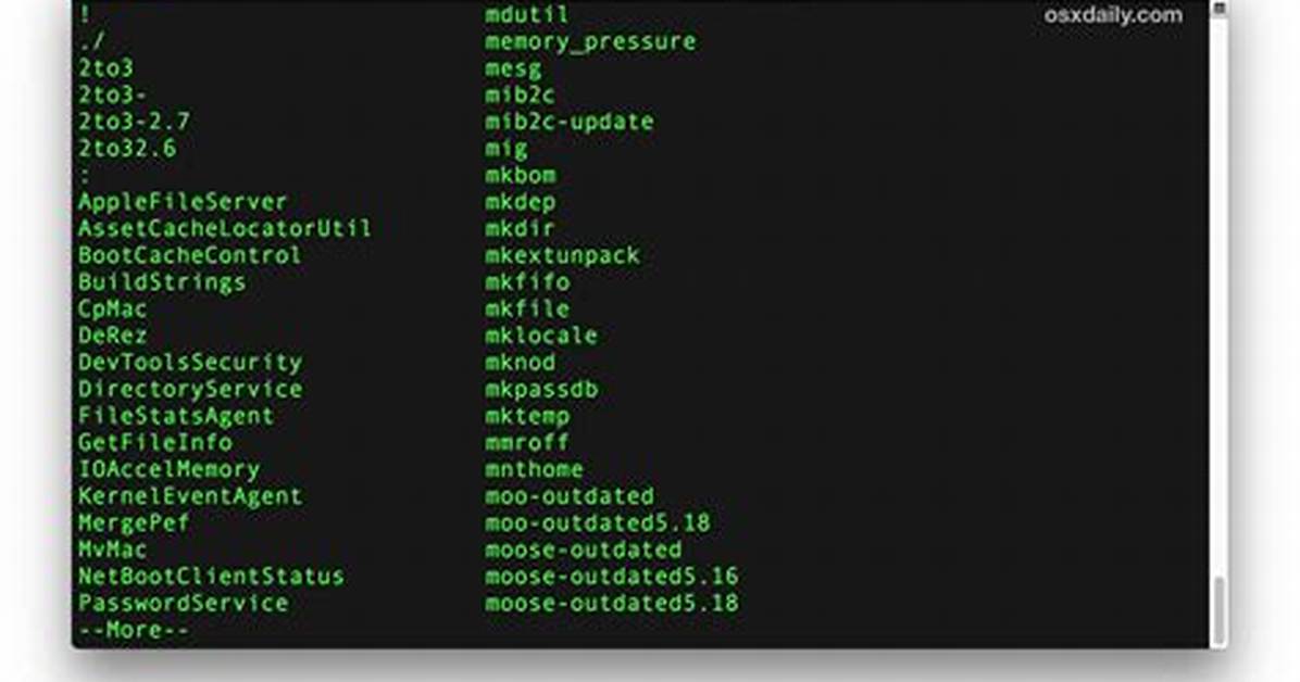What Is the Terminal Command on Mac?