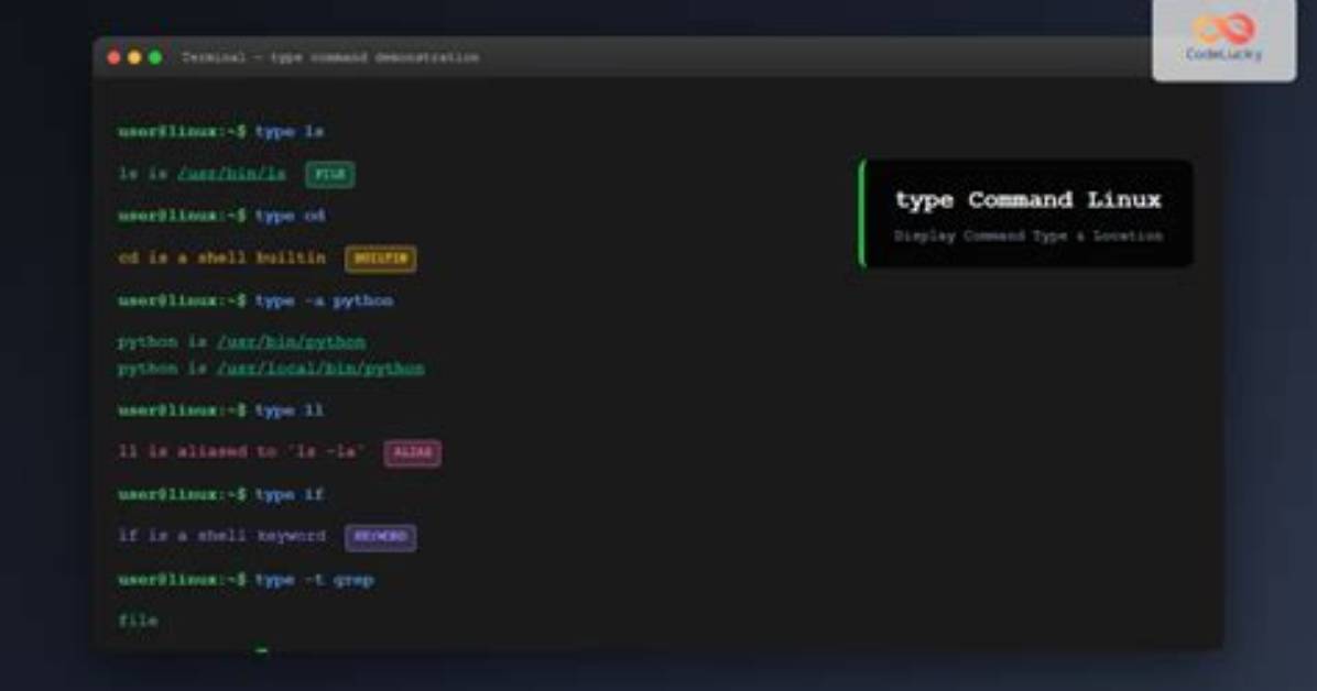 What Is the Type Command in Linux?