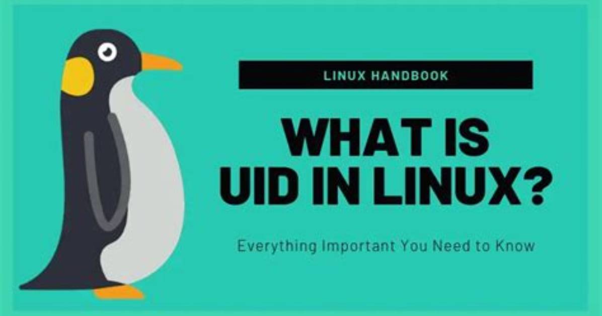 What Is the Uid in Linux?